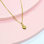 Set Corazón bombeado Ple